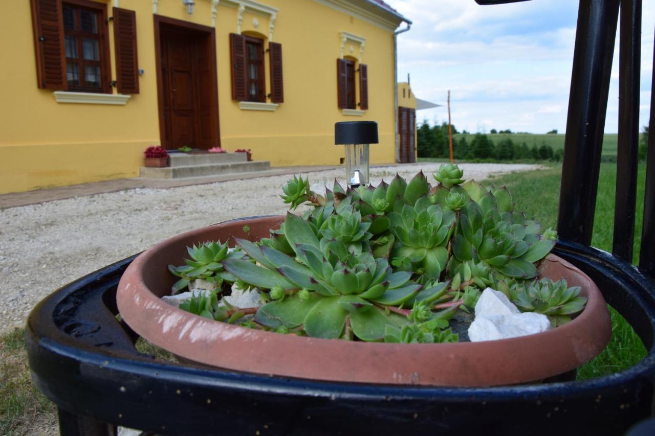 Porrogi Fenyő Vendégház Exterior foto